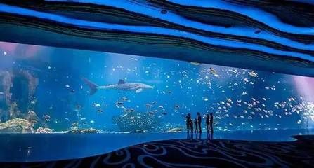 珠海水族馆：世界上最大的水族馆在中国吗？