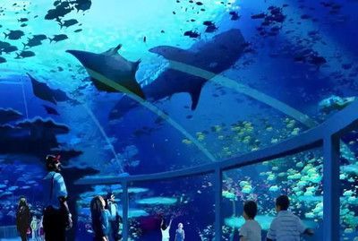 珠海水族馆：世界上最大的水族馆在中国吗？ 全国观赏鱼市场 第2张