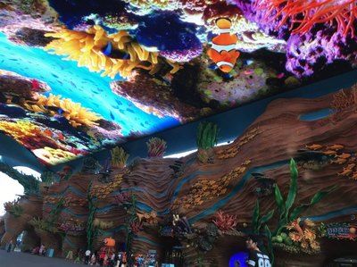 珠海水族馆：世界上最大的水族馆在中国吗？ 全国观赏鱼市场 第3张