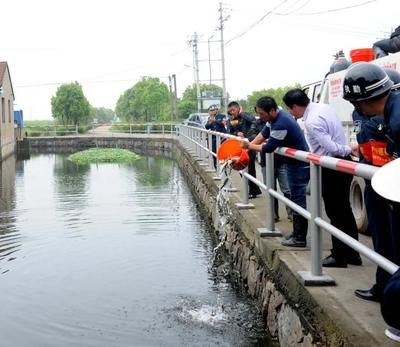 红龙鱼的颜色有哪些：关于红龙鱼的10个问题 水族问答