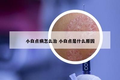 红龙鱼多少度停止喂食合适：红龙鱼在什么样的温度下，会停止进食？ 水族问答 第1张