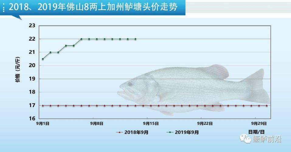 红龙鱼高端配鱼多少钱：买红龙鱼高端配鱼时，如何辨别真伪和品质红龙鱼的价格 水族问答 第2张