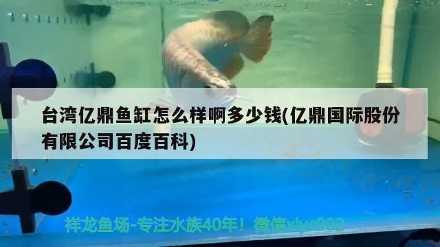 红龙鱼和金龙鱼：红龙鱼和金龙鱼在颜色上有什么共同点？ 水族问答