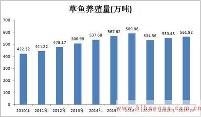 红龙鱼黑缸和白缸的区别在哪：红龙鱼在黑缸和白缸中的水质管理有何不同，红龙鱼的饲养方法 水族问答 第2张