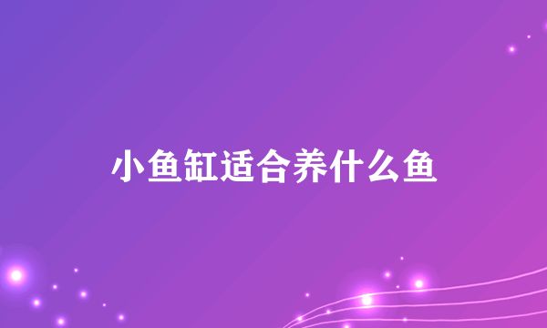 小鱼缸还可以养什么：适合在小鱼缸中养殖的几种宠物 鱼缸百科 第1张