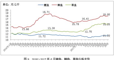 红龙鱼金龙鱼银龙鱼的区别在哪：关于红龙鱼、金龙鱼和银龙鱼的五个疑问句 水族问答 第2张