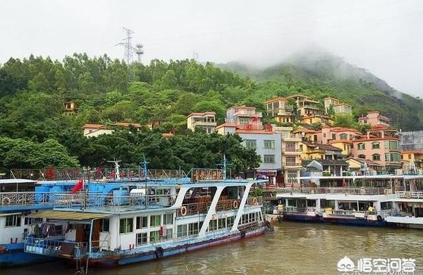 清远水族批发市场 全国观赏鱼市场 第7张