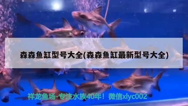 森森鱼缸各型号及价格：森森鱼缸各型号价格详情 鱼缸百科 第2张