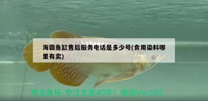 海霸鱼缸官方旗舰店：关于海霸鱼缸官方旗舰店详情