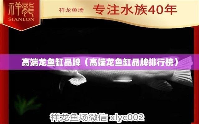 龙鱼缸排行：2024年十大龙鱼鱼缸品牌排行 鱼缸百科 第5张