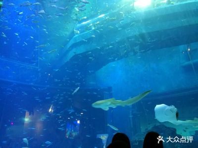 包头水族馆：内蒙古包头水族馆包头水族馆简介#包头水族馆简介