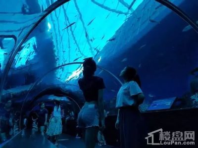 包头水族馆：内蒙古包头水族馆包头水族馆简介#包头水族馆简介