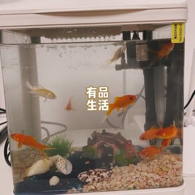 意牌鱼缸质量怎么样：意牌鱼缸与森森对比评测意牌鱼缸热销款式推荐 鱼缸百科 第5张