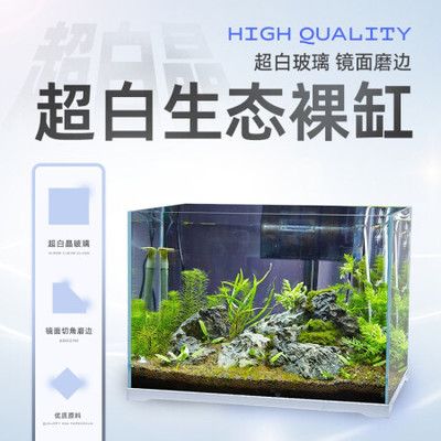 精晶鱼缸怎么样：精晶鱼缸与其他品牌对比，如何布置精晶鱼缸的水景 鱼缸百科 第2张