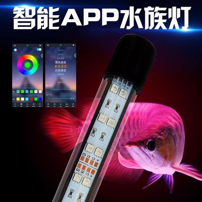 鱼缸灯app：鱼缸灯app是一款专为观赏鱼类打造的照明工具 鱼缸百科 第3张