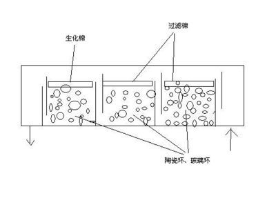 鱼缸过滤器滤材的怎么摆放呀：鱼缸过滤器滤材摆放方法 鱼缸百科 第3张