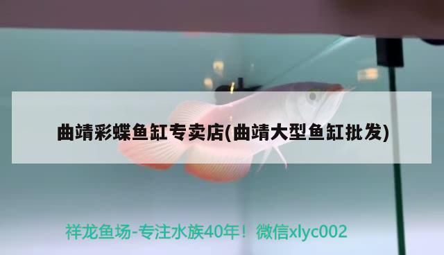 曲靖鱼缸批发市场：曲靖市鱼缸批发市场 全国观赏鱼市场 第5张