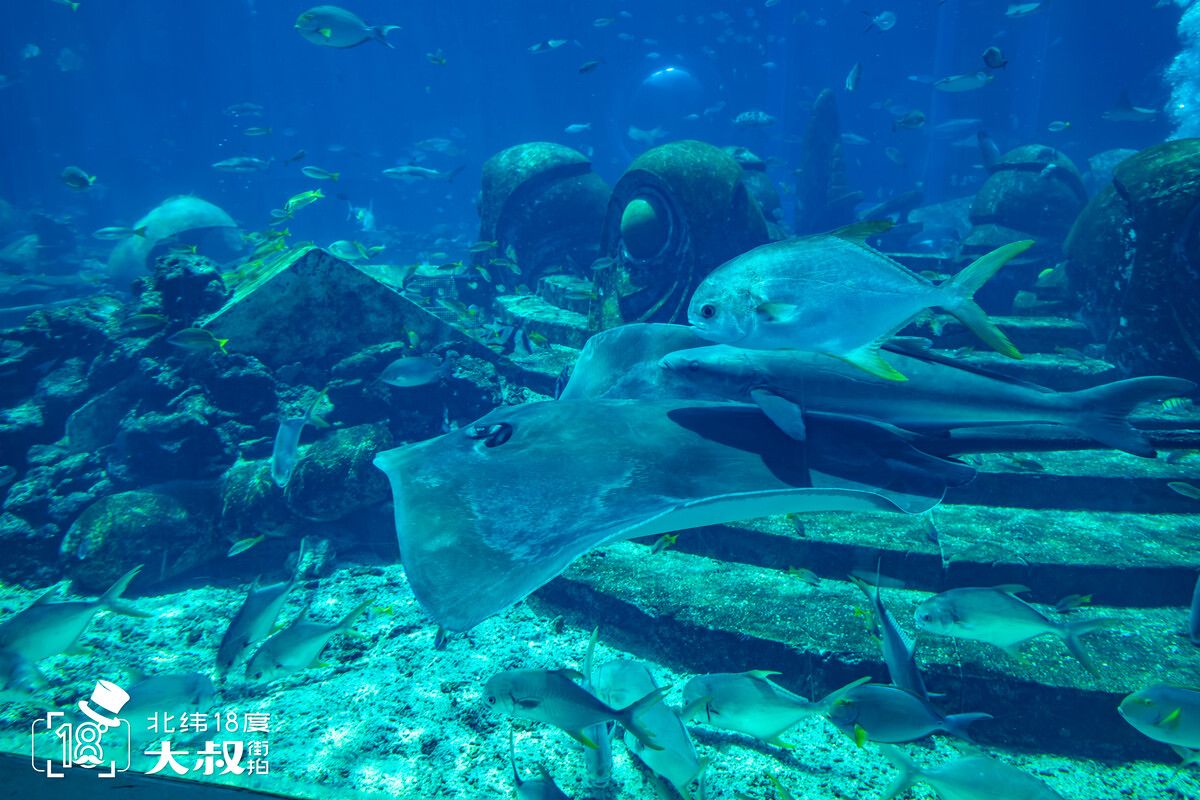 三亚水族馆：三亚水族馆位于中国海南省三亚湾大东海景区中心位置