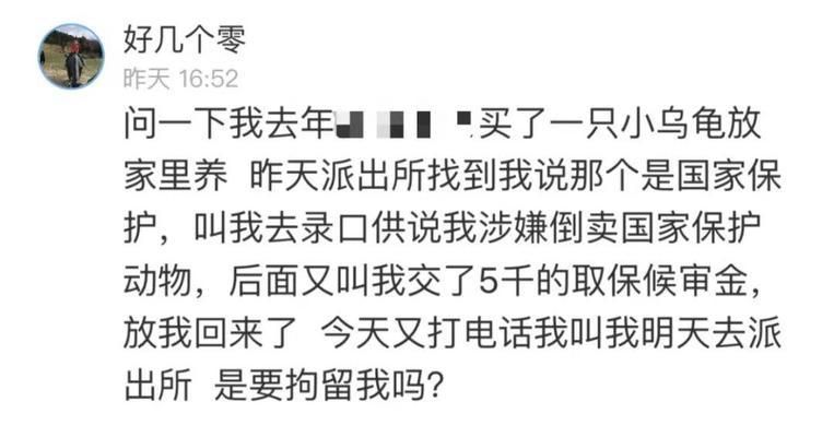 购买猪鼻龟怎么处罚：购买猪鼻龟判刑么 猪鼻龟百科 第1张