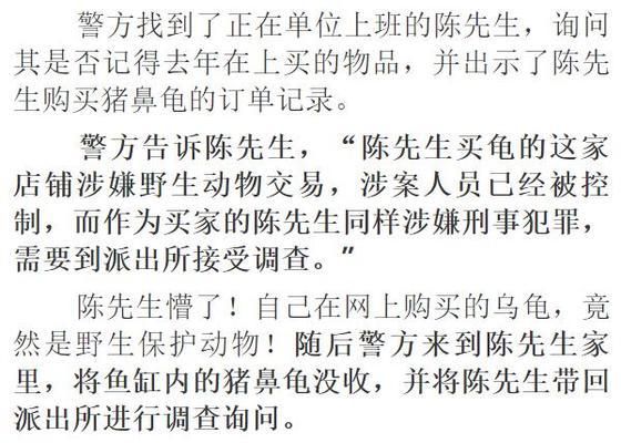 购买猪鼻龟怎么处罚：购买猪鼻龟判刑么 猪鼻龟百科 第4张