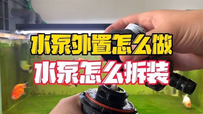 鱼缸泵怎么拆开：鱼缸泵拆卸过程通常需要一定的工具和技巧和技巧 鱼缸百科 第3张