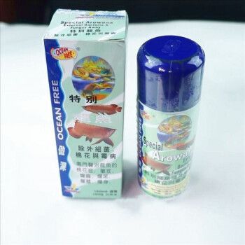 龙鱼霉菌用什么药治疗：如何治疗龙鱼霉菌病 龙鱼百科 第1张