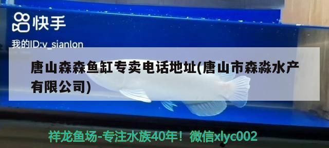 长沙龙鱼专卖店：如何选择一个好的鱼缸专卖店 全国观赏鱼市场 第2张