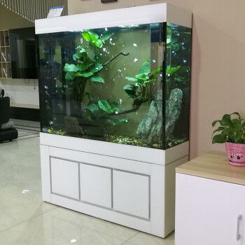 江彩水族的鱼缸怎么样：江彩水族鱼缸与其他品牌的对比 鱼缸百科 第3张