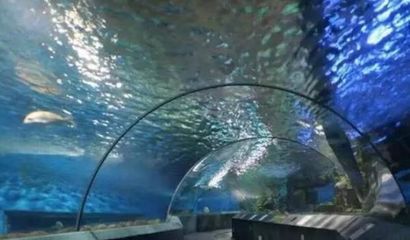 南京水族馆：南京水族馆在南京海底世界哪里详细点南京水族馆在哪 全国观赏鱼市场 第3张