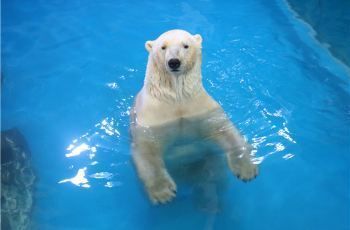 南京水族馆：南京水族馆在南京海底世界哪里详细点南京水族馆在哪 全国观赏鱼市场 第5张