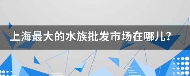 上海水族批发市场：上海水族批发市场价格对比上海水族批发市场都在哪里 全国观赏鱼市场 第13张