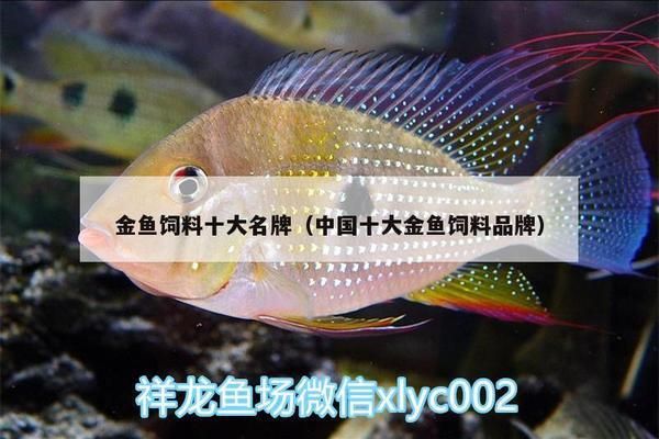 如何挑选过背金龙鱼饲料品牌呢：过背金龙鱼专用饲料推荐 金龙鱼百科 第5张