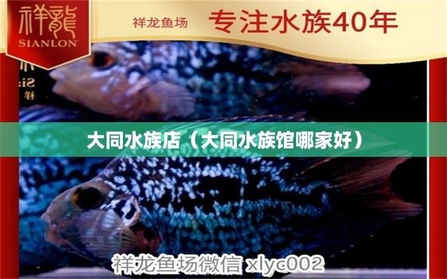 大同水族馆：世界上最大的水族馆 全国观赏鱼市场 第4张