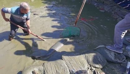 汕尾水族批发市场：广东汕尾水产品批发市场