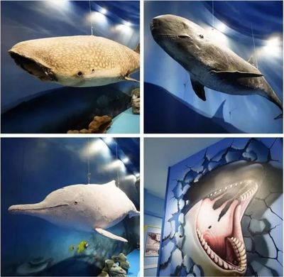 惠州水族馆：广州星河商务酒店 全国观赏鱼市场 第3张