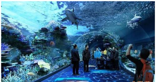 成都水族馆：成都十大水上乐园 全国观赏鱼市场 第2张