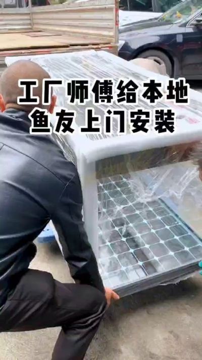 兴安盟观赏鱼批发市场：兴安盟观赏鱼市场对比分析兴安盟观赏鱼市场对比分析 全国观赏鱼市场 第8张