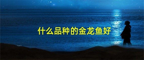 过背金龙鱼可以吃吗有毒吗会死吗图片：过背金龙鱼不建议食用，安全起见 金龙鱼百科 第5张