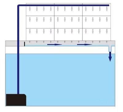 鱼缸过滤盒工作原理：鱼缸过滤盒工作原理详解 鱼缸百科 第1张