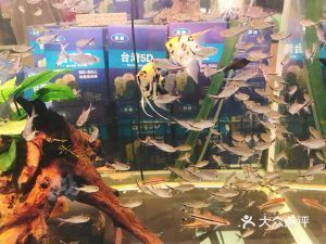 镇江水族馆：镇江市京口金山水族馆