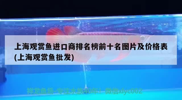 金龙鱼水质监测工具推荐：哈维森水质检测仪