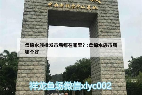 盘锦观赏鱼批发市场：盘锦水族批发市场哪里有卖盘锦水族批发市场哪个好 全国观赏鱼市场 第4张