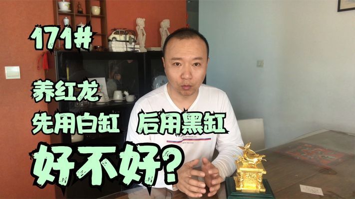 红龙鱼白缸养还是黑缸养好：如何选择适合红龙鱼的鱼缸 红龙鱼百科 第4张