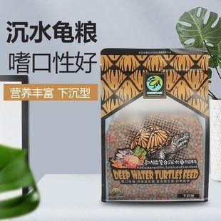 猪鼻龟摆件：猪鼻子龟的风水布局方式有讲究猪鼻子龟风水布局方式 猪鼻龟百科 第8张