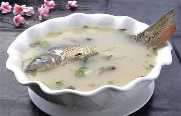 夏季龙凤鲤饲料选择指南：夏季龙凤鲤饲料品牌推荐，龙凤鲤饲料保存方法 龙鱼百科 第5张