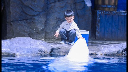 郑州水族馆：郑州十大适合端午旅游的地方no.6郑州十大最适合端午旅游的地方