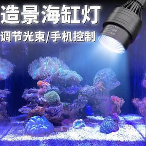 鱼缸珊瑚石有什么用：珊瑚石在鱼缸中的具体用途 鱼缸百科 第2张