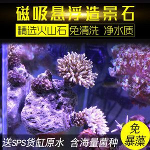 鱼缸珊瑚石有什么用：珊瑚石在鱼缸中的具体用途 鱼缸百科 第3张