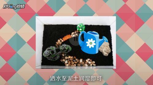 鱼缸操作方法：鱼缸操作方法和注意事项