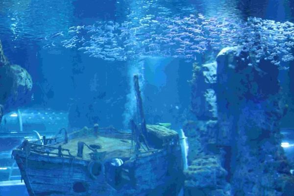 西宁水族馆：西宁千湖水族馆